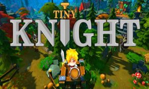 tiny knight game