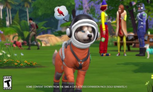 Download The Sims 4 My First Pet Stuff Setup