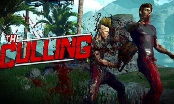 the culling game