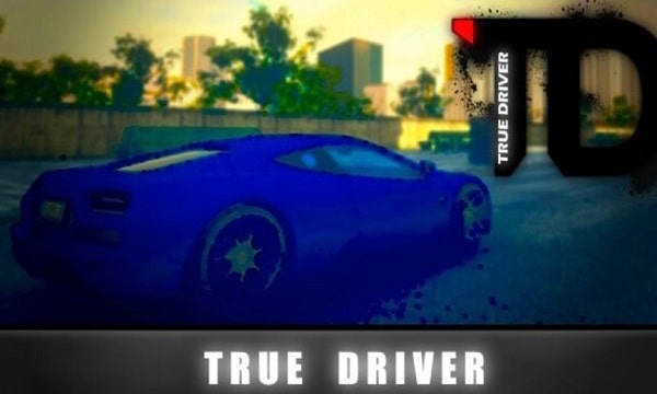 true driver game